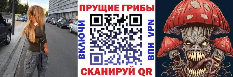 Купить закладки  Новоузенск  Галлюциногенные грибы MAGIC MUSHROOMS 
